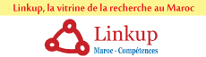 Linkup Maroc Comp&eacute;tences